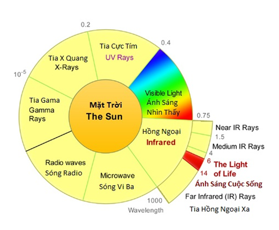 Ghế hồng ngoại Ghế hồng ngoại