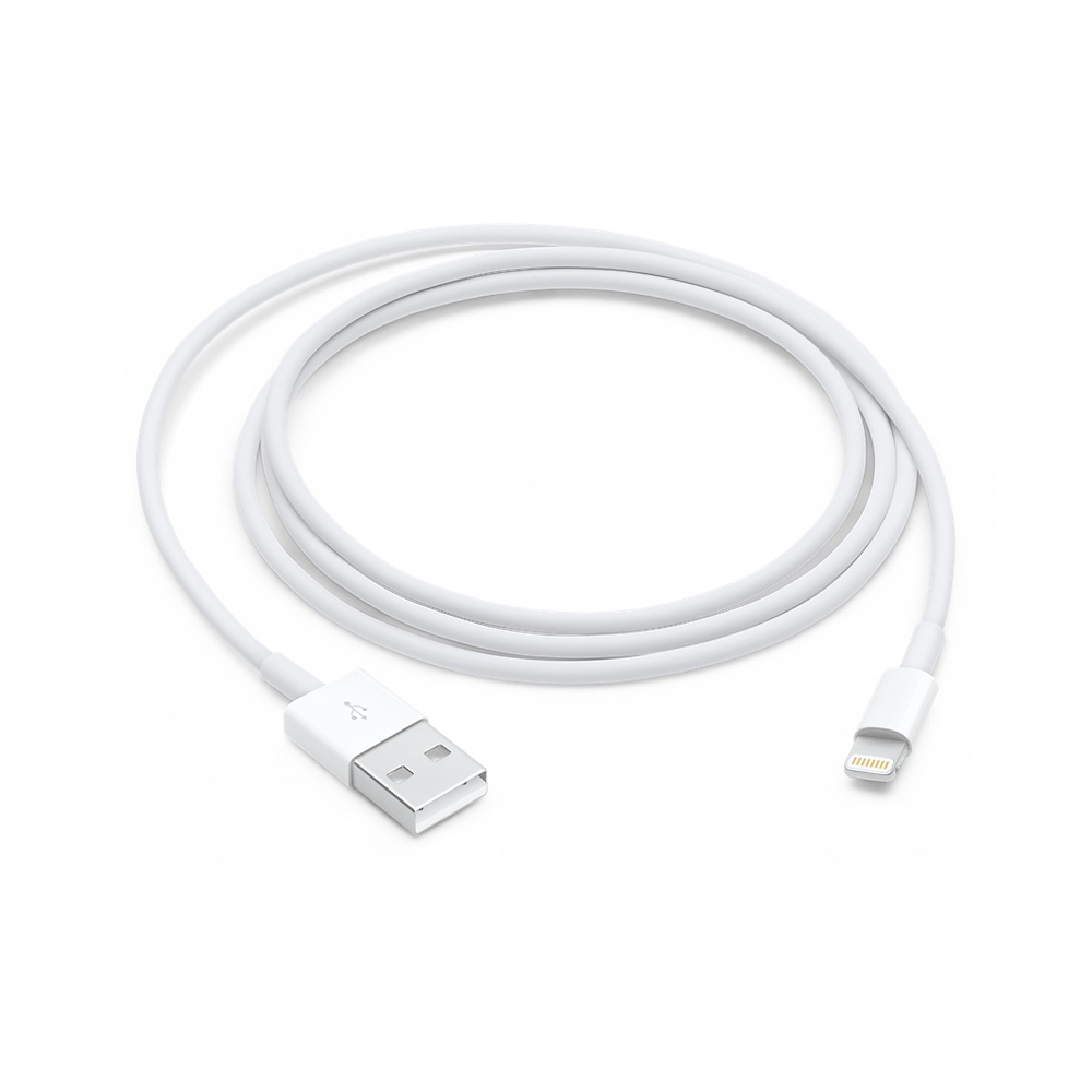 Lightning to USB Cable 