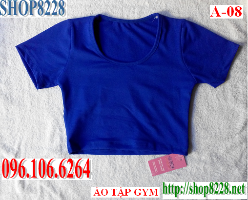 Quần áo tập GYM - Yoga - Aerobic nữ 096. 106. 6264 - Bán buôn bán lẻ toàn quốc
