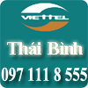 Lắp mạng Viettel tại Thành phố - Thái Bình
