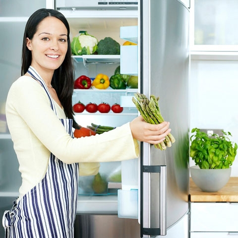 Lời tâm sự dễ thương của chiếc tủ lạnh nhỏ Lời tâm sự dễ thương của chiếc tủ lạnh nhỏ