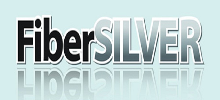 Fiber Silver - 100Mbps