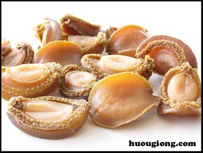 Quy trình sản xuất giống bào ngư HALIOTIS OLIVA tại Việt Vam Quy trình sản xuất giống bào ngư HALIOTIS OLIVA tại Việt Vam