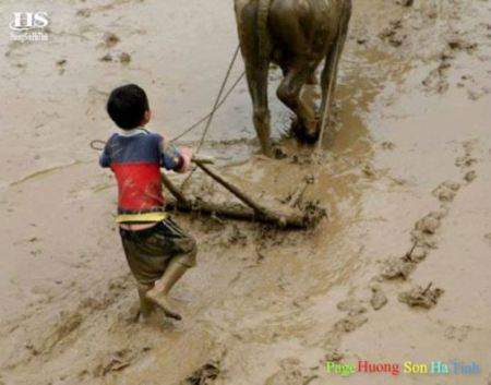 Nông dân gánh trên 1.000 loại phí, lệ phí Nông dân gánh trên 1.000 loại phí, lệ phí