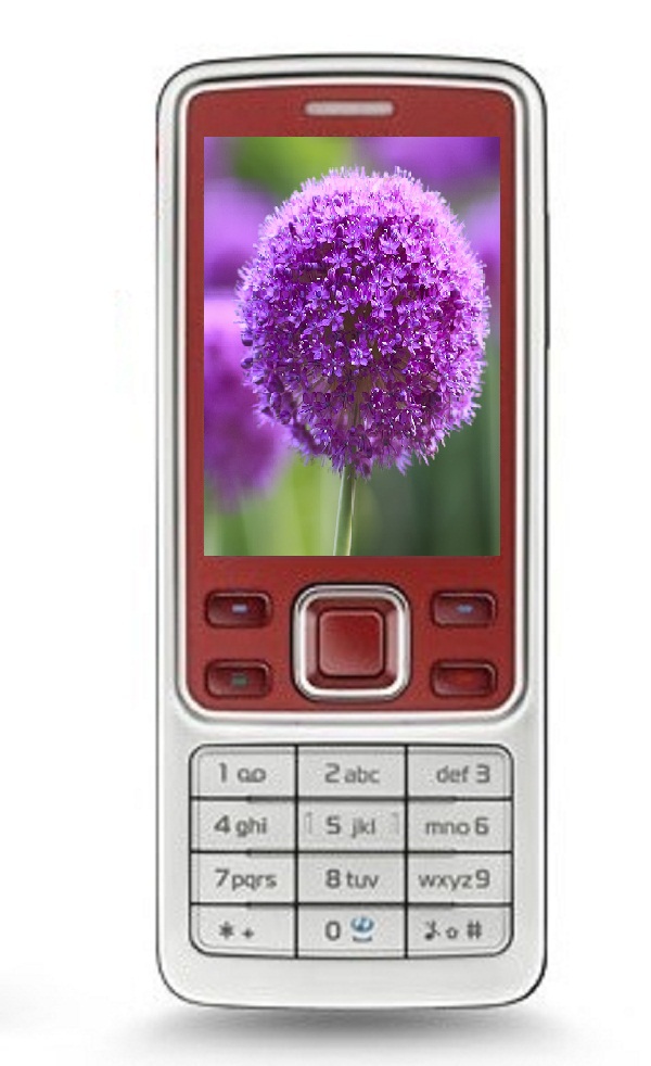 điện thoại nokia 6300 điện thoại nokia 6300
