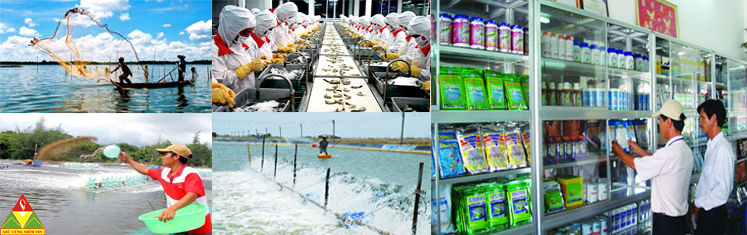 VIỆT MỸ TUYỂN NHÂN SỰ VIỆT MỸ TUYỂN NHÂN SỰ