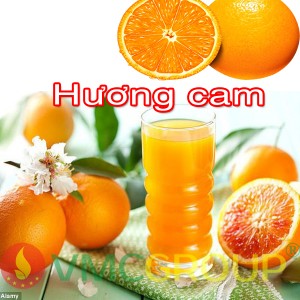 HƯƠNG CAM (ORANGE)