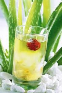 Hương Nha Đam(aloe vera)