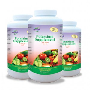 VI SINH POTASSIUM SUPPLEMENT – CUNG CẤP KALI