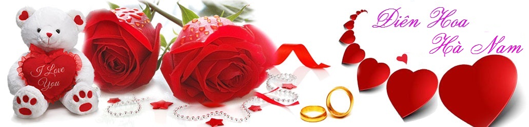 Điện Hoa Hà Nam Điện Hoa Hà NAm
