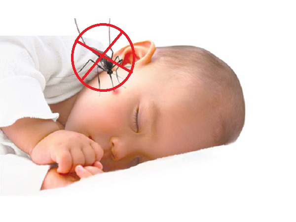 5 cách tiêu diệt muỗi hiệu quả để phòng tránh bệnh sốt xuất huyết 5 cách tiêu diệt muỗi hiệu quả để phòng tránh bệnh sốt xuất huyết