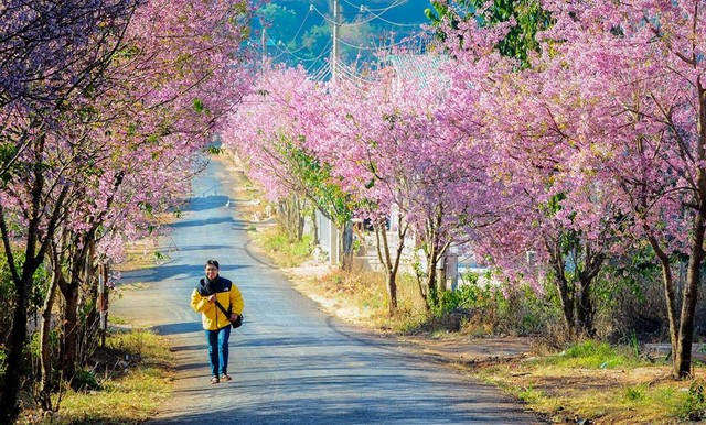 Du Lịch Đà Lạt