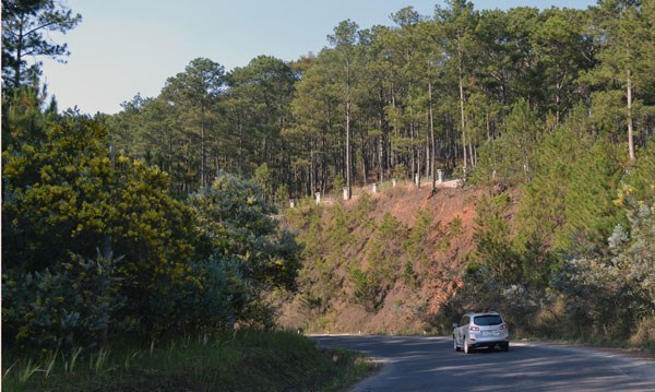 Du Lịch Đà Lạt