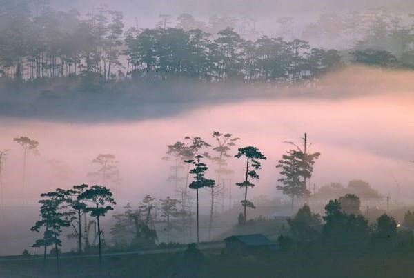 Du Lịch Đà Lạt