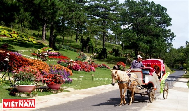 Du Lịch Đà Lạt