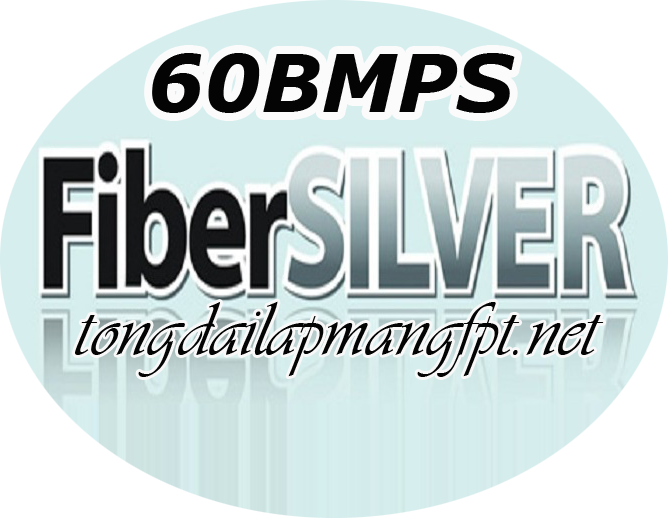 FiberSilver 60mbps FiberSilver 60mbps
