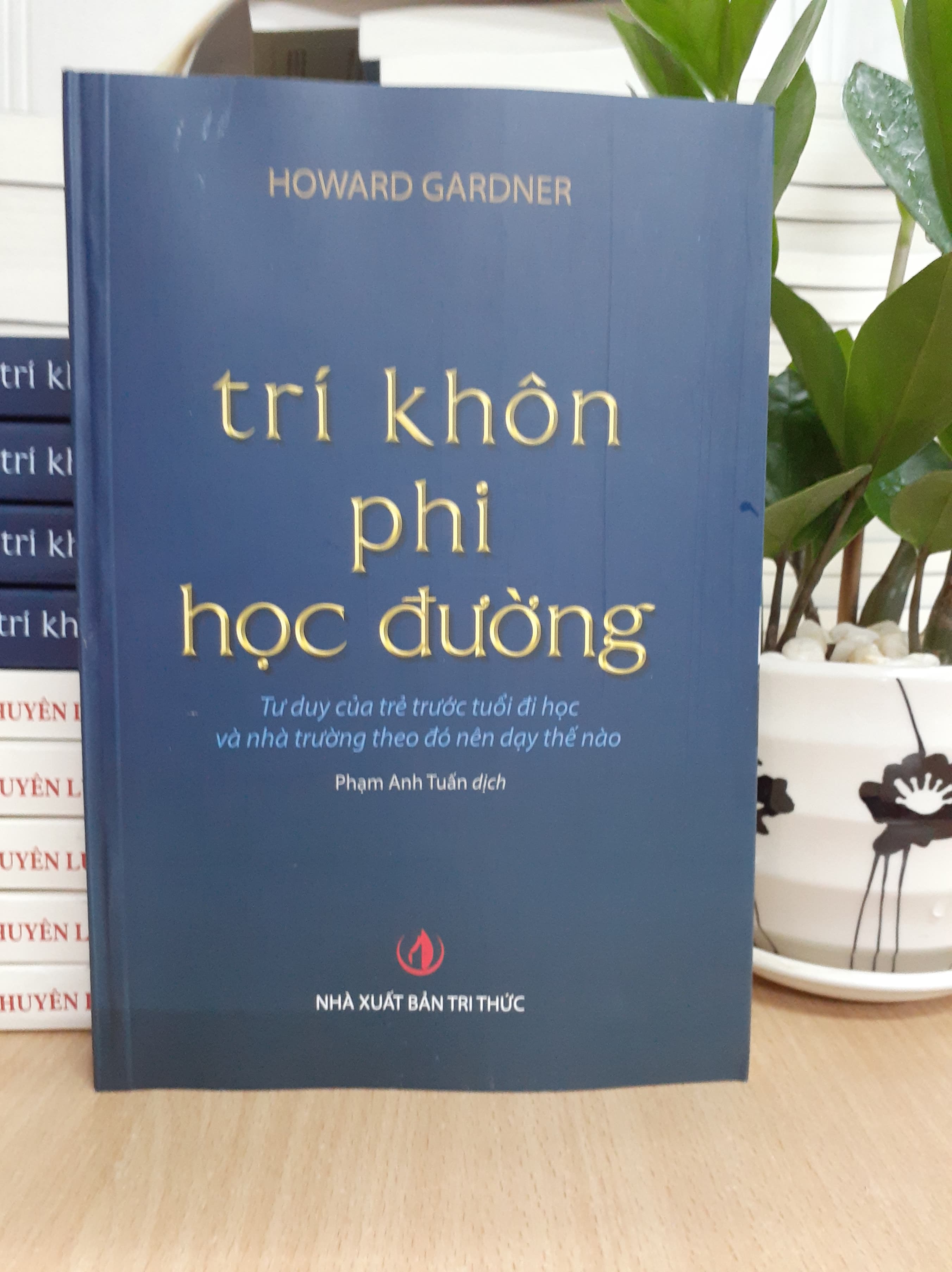Trí khôn phi học đường Trí khôn phi học đường
