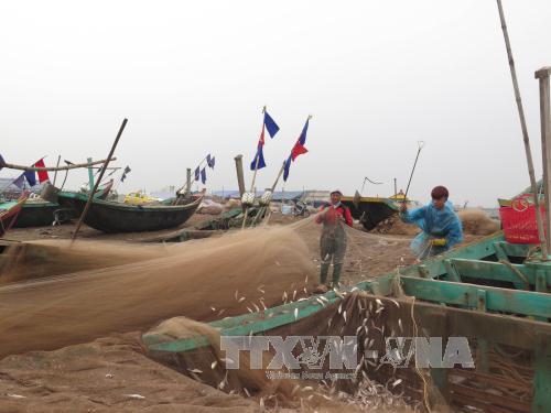 Nam Định nuôi trồng thủy sản cho hiệu quả cao Nam Định nuôi trồng thủy sản cho hiệu quả cao