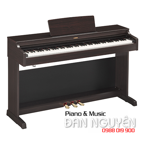 Piano điện Yamaha YDP-163