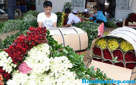 Quy Trình Đặt Và Nhận Hoa Hoa Đà Lạt Đẹp