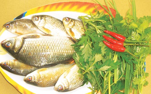 Cá diếc - món ăn bổ dưỡng ít người biết đến Cá diếc - món ăn bổ dưỡng ít người biết đến