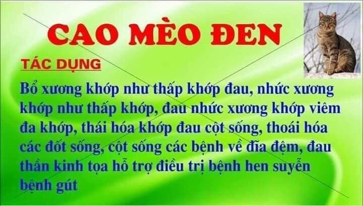 Cao Mèo Đen