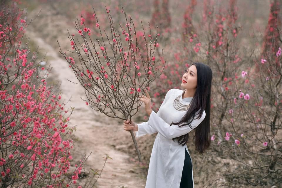 HƠI XUÂN HƠI XUÂN
